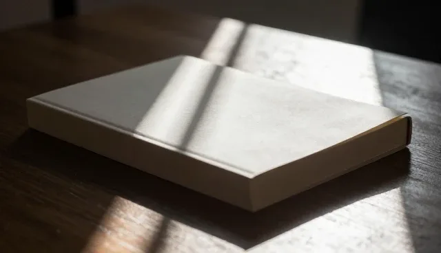 包装配送中的批量生产:使用与维护建议对比